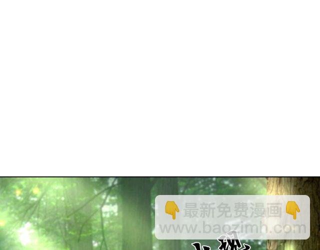 第66话 本小姐可不会同情弱者