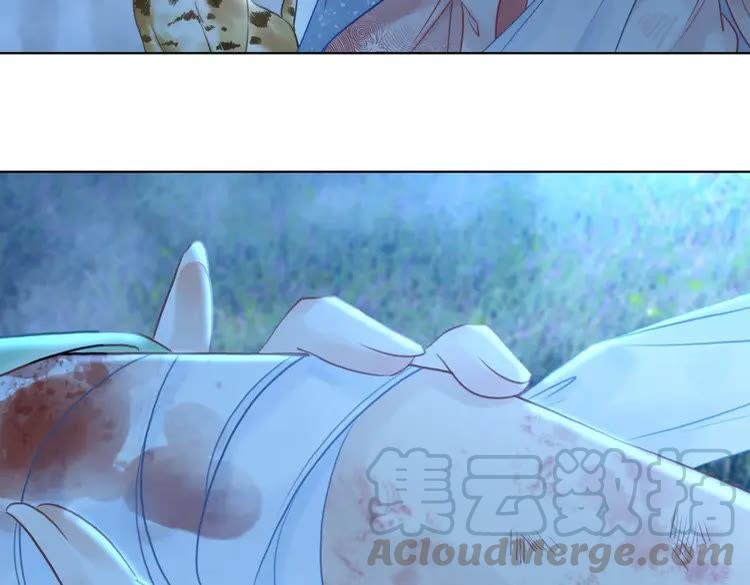 第75话 哥哥的追求者