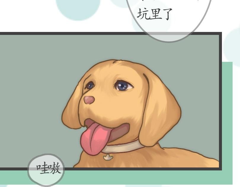3自主上门