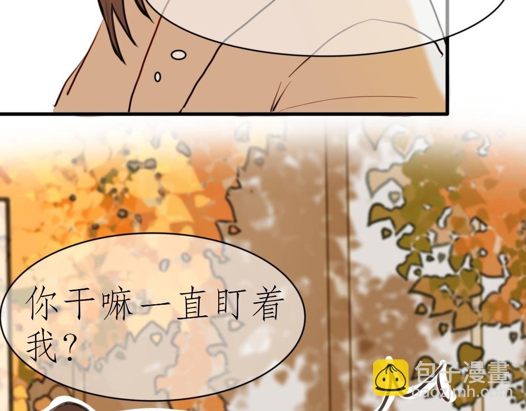似曾相识