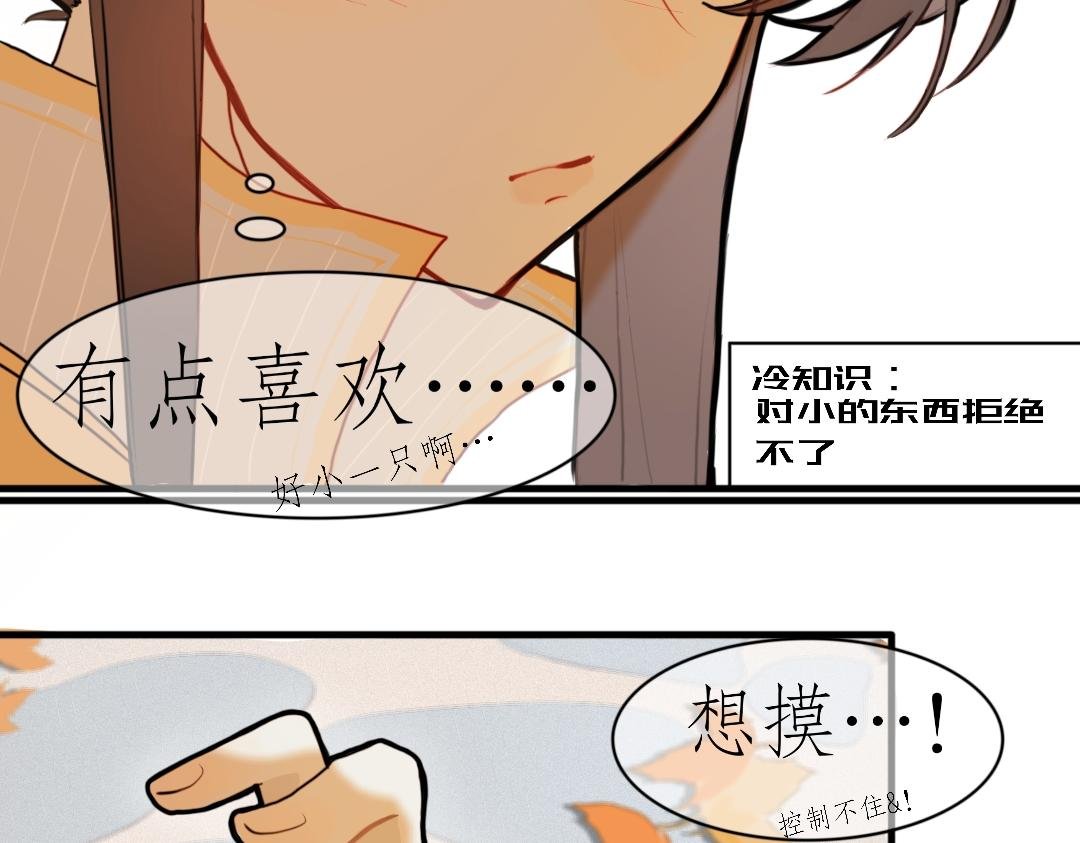 似曾相识
