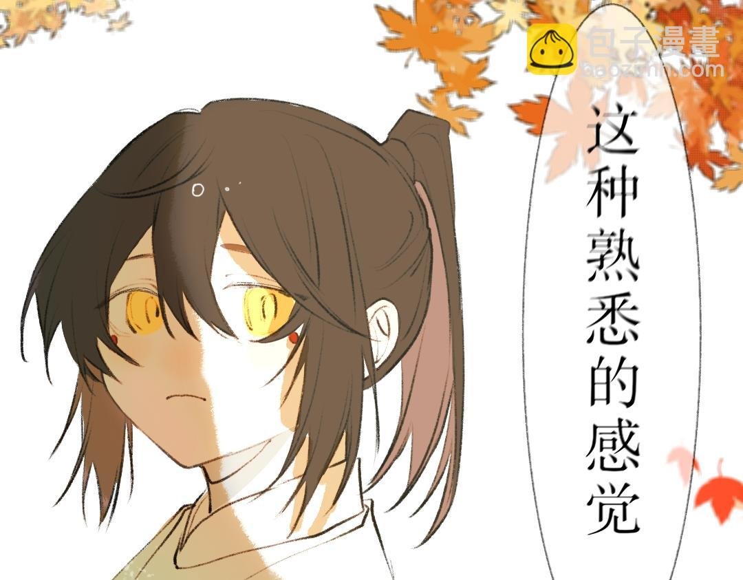 似曾相识