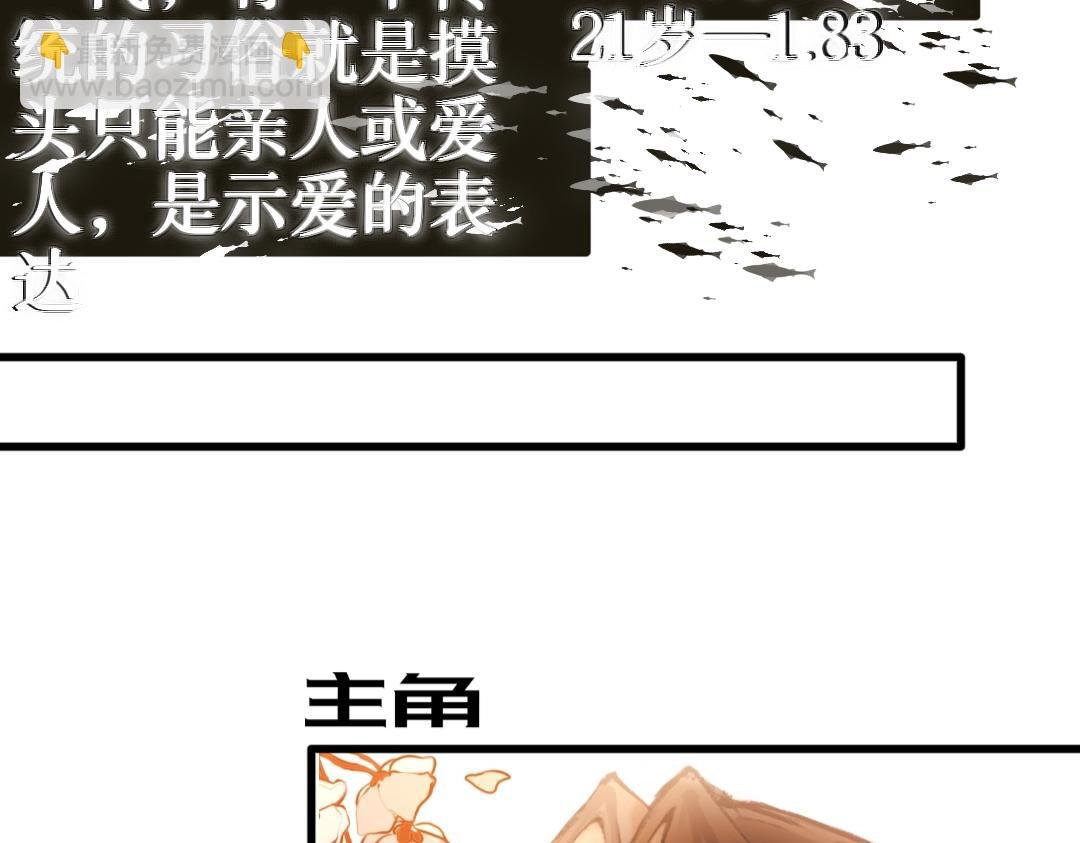 主角大致介绍图