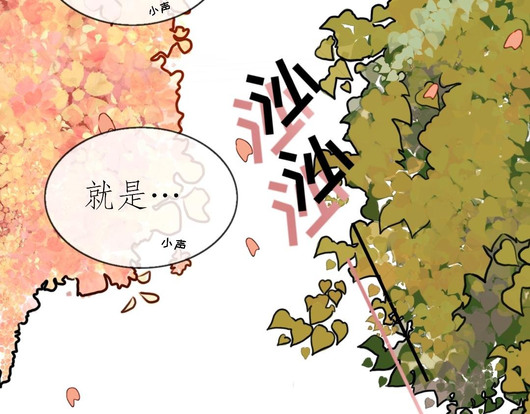 是柏秋噢～