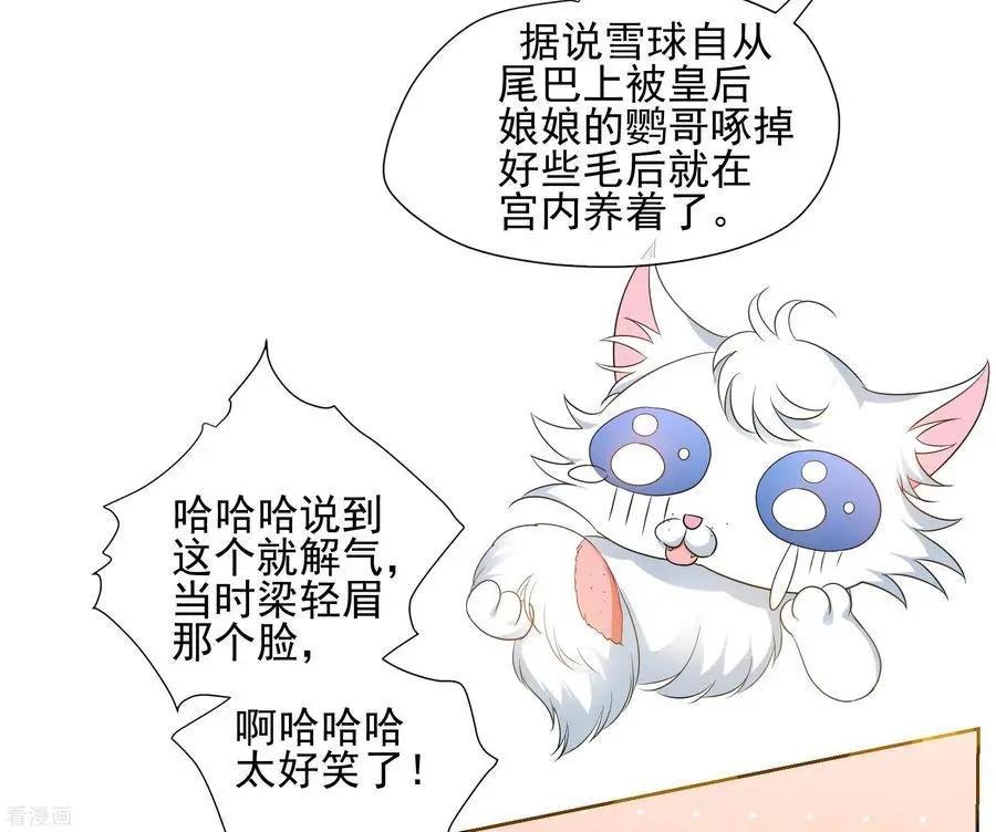 第2季第55话 失踪的小桃1