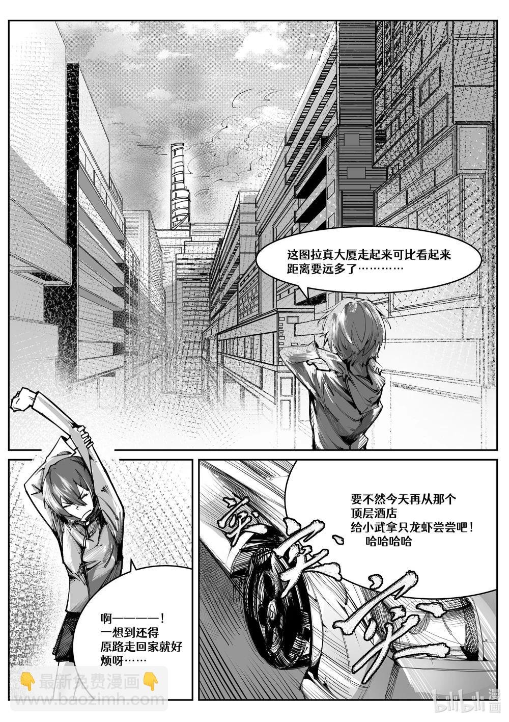 灰林雀 一瞬而过的见面