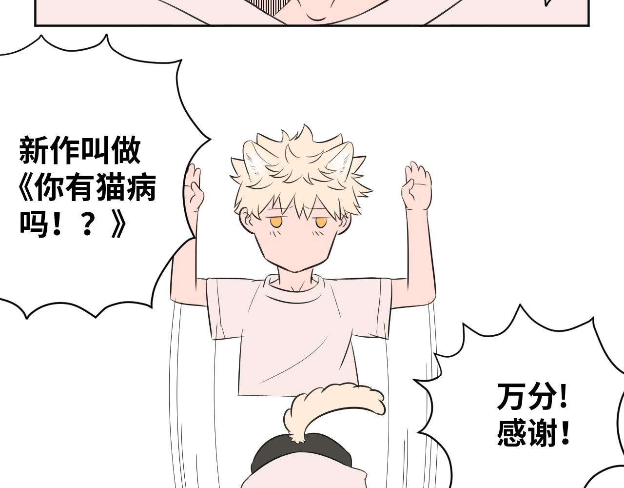 新作