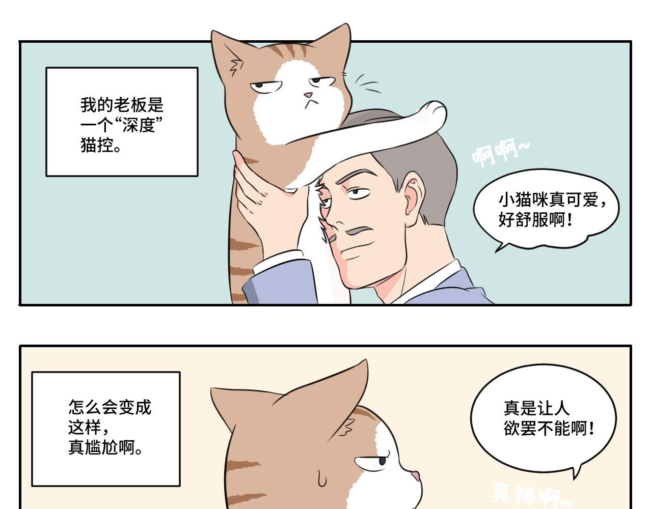 脏话猫！