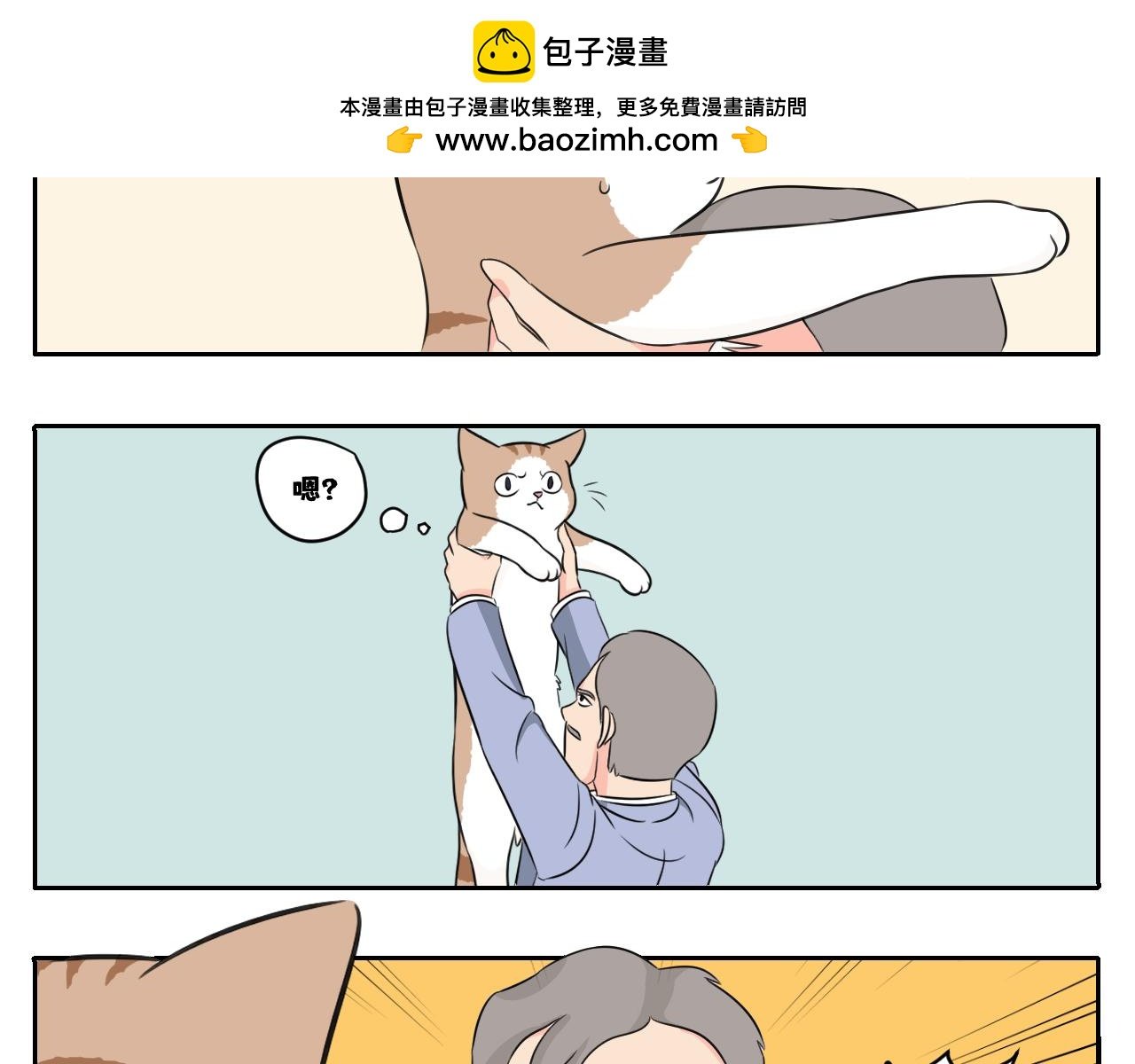 脏话猫！