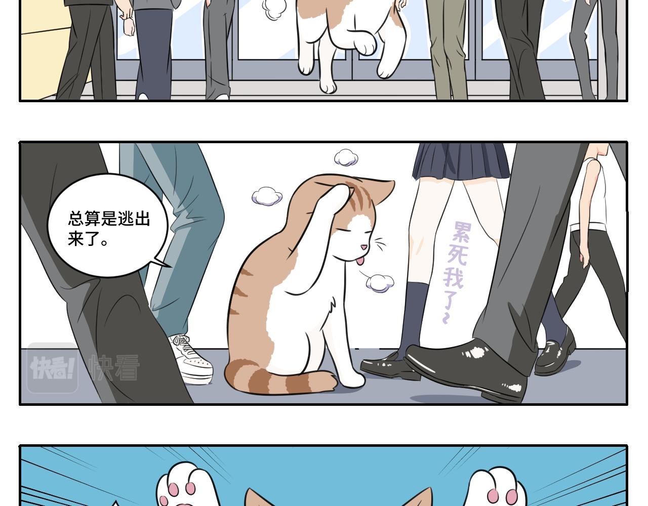 脏话猫！