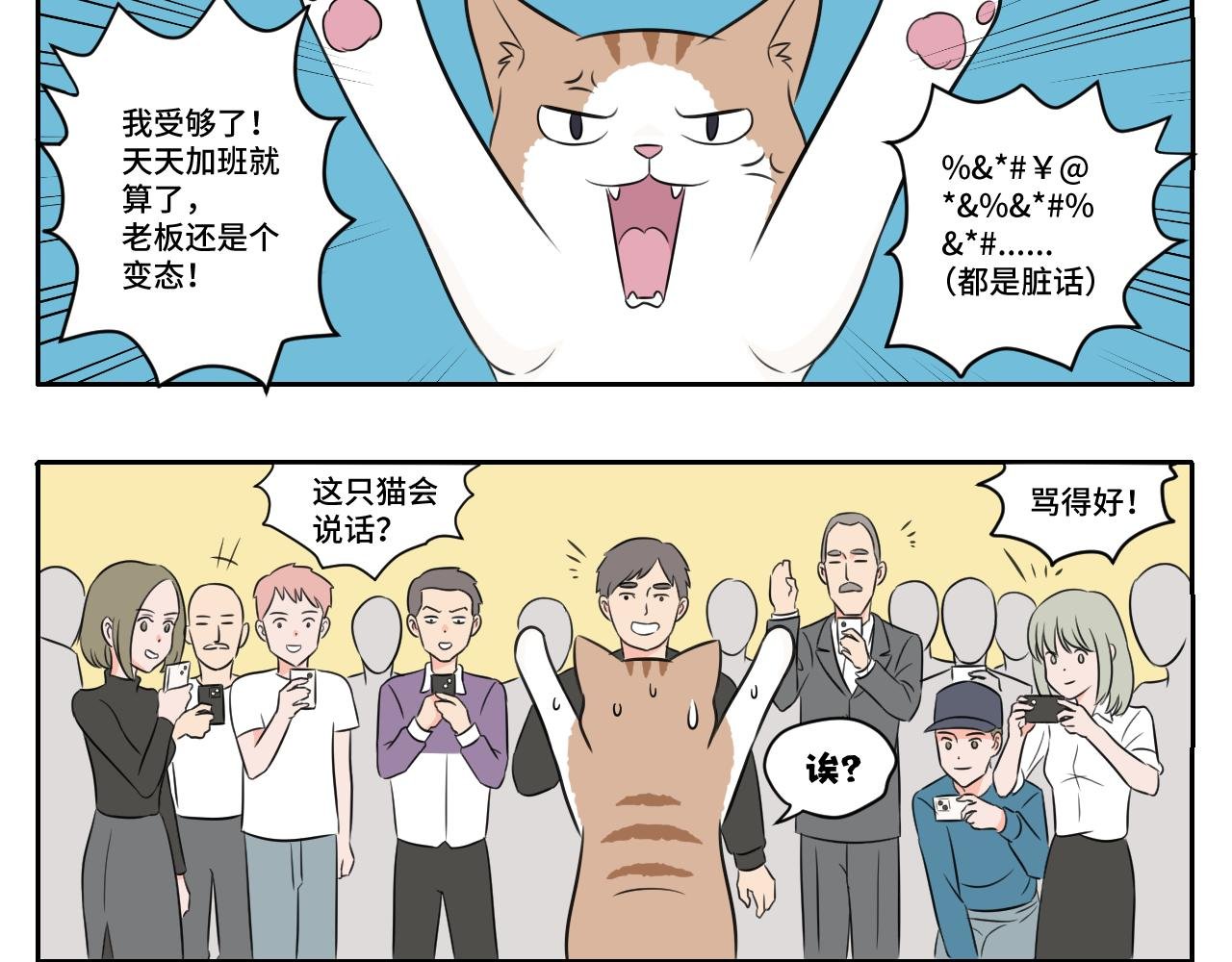 脏话猫！