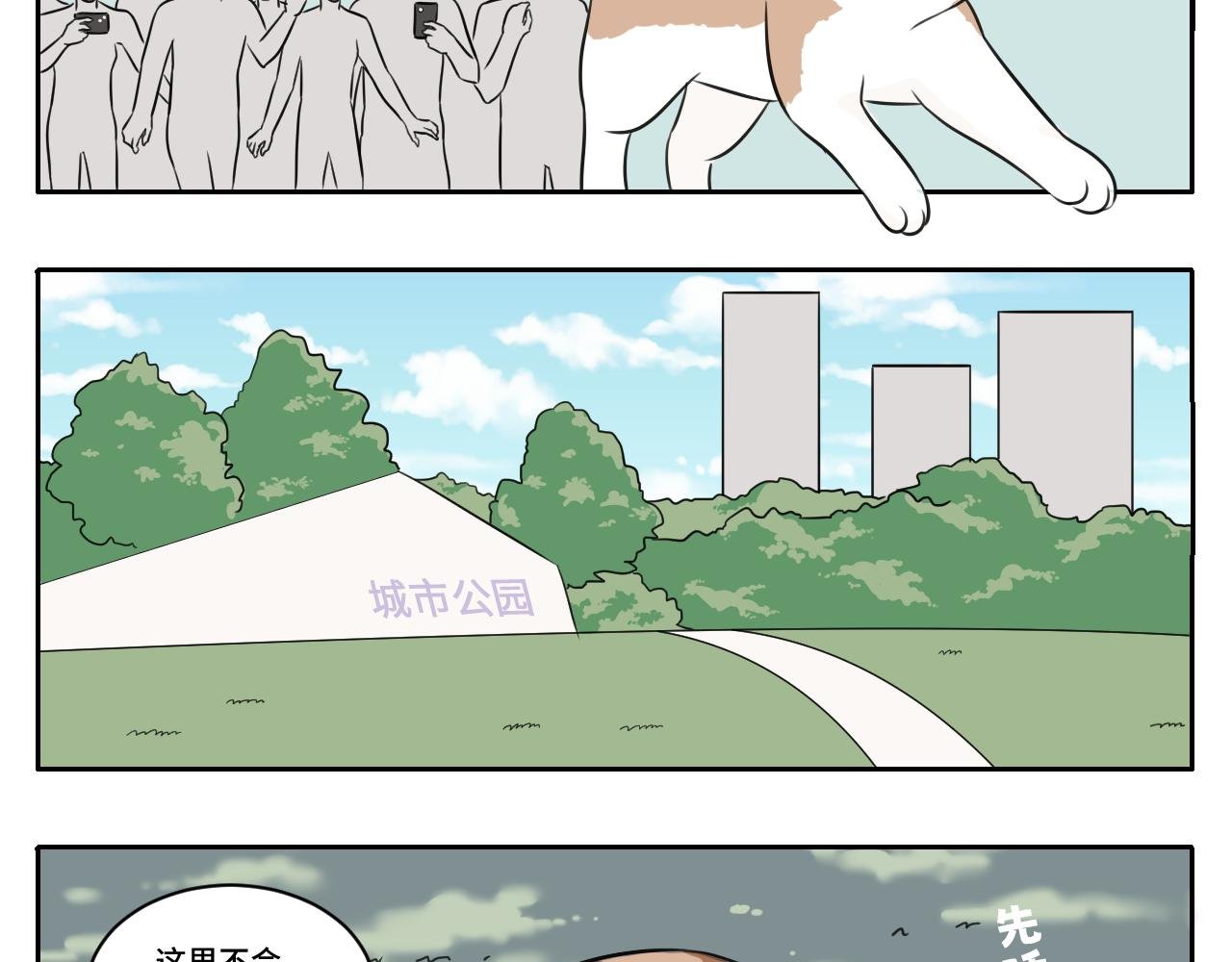 脏话猫！