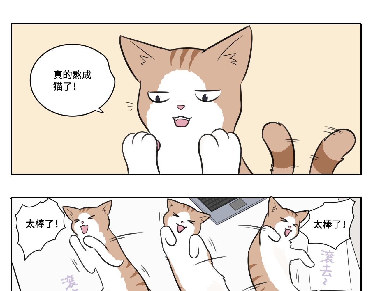 我的老板是猫控？