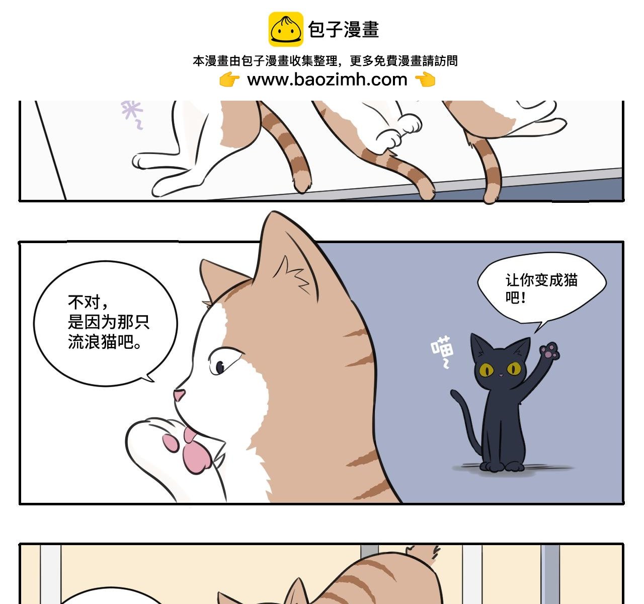 我的老板是猫控？