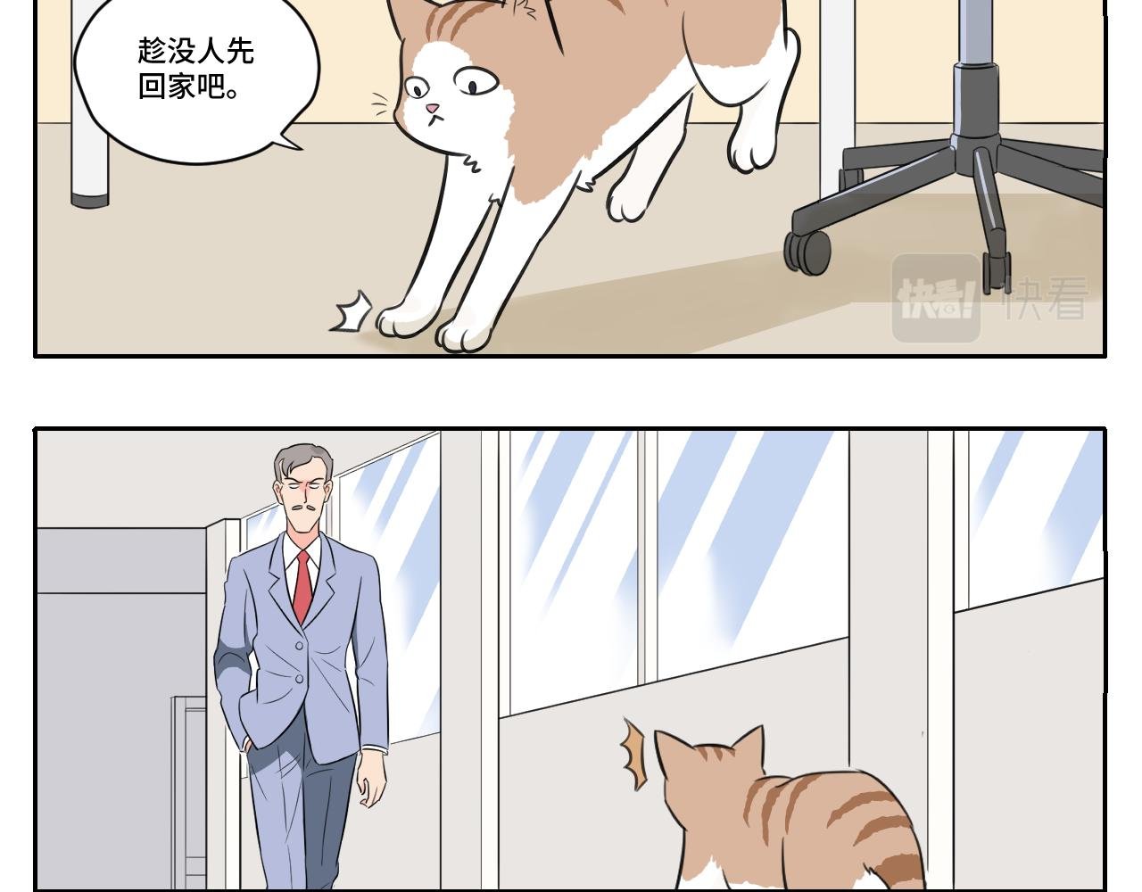 我的老板是猫控？