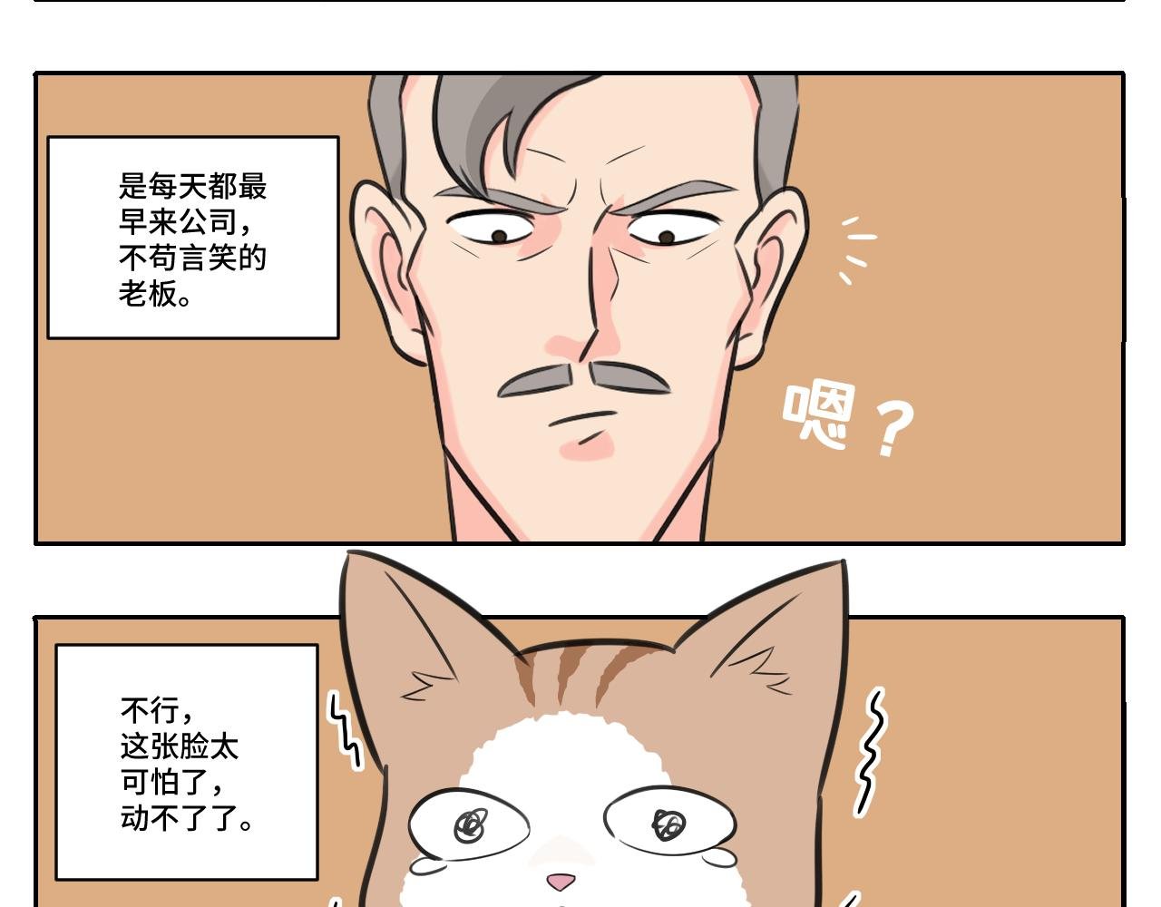 我的老板是猫控？