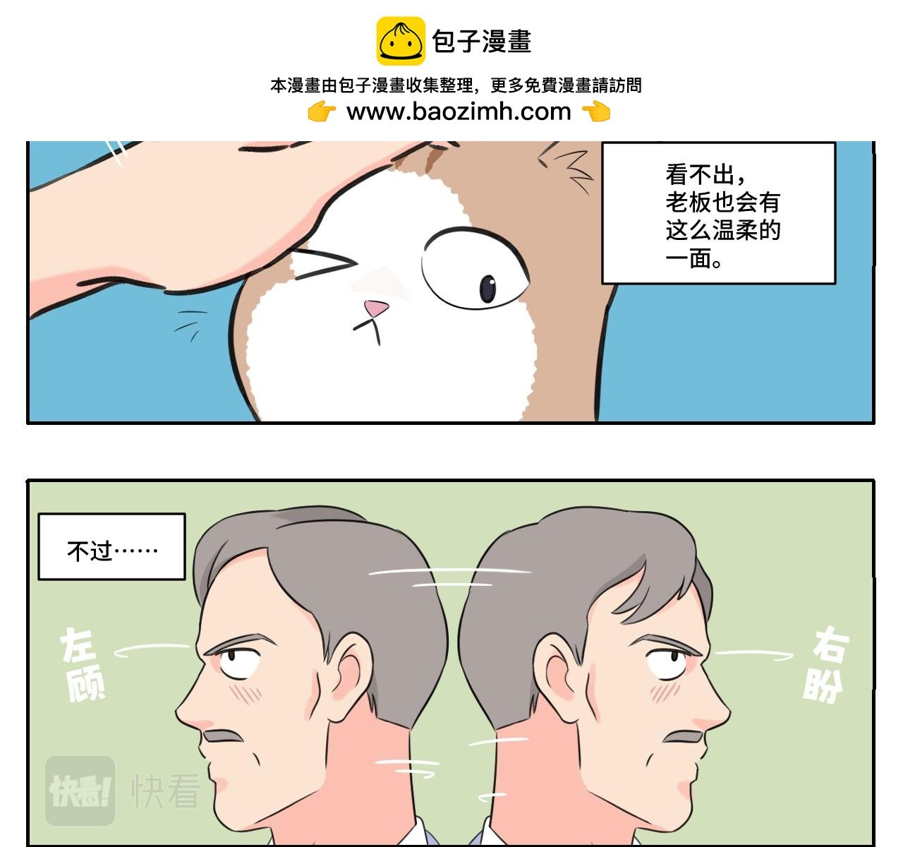 我的老板是猫控？