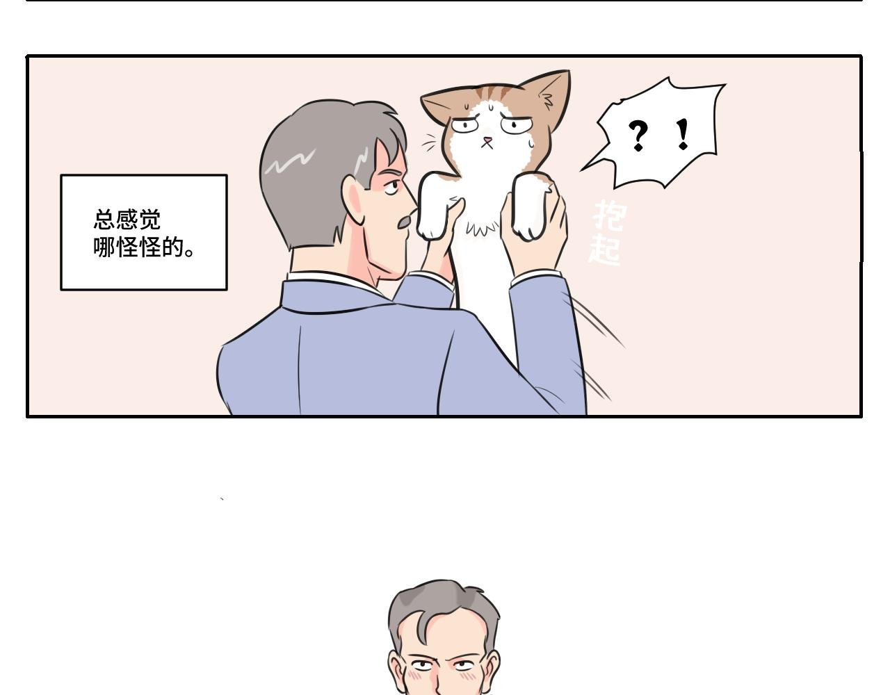 我的老板是猫控？