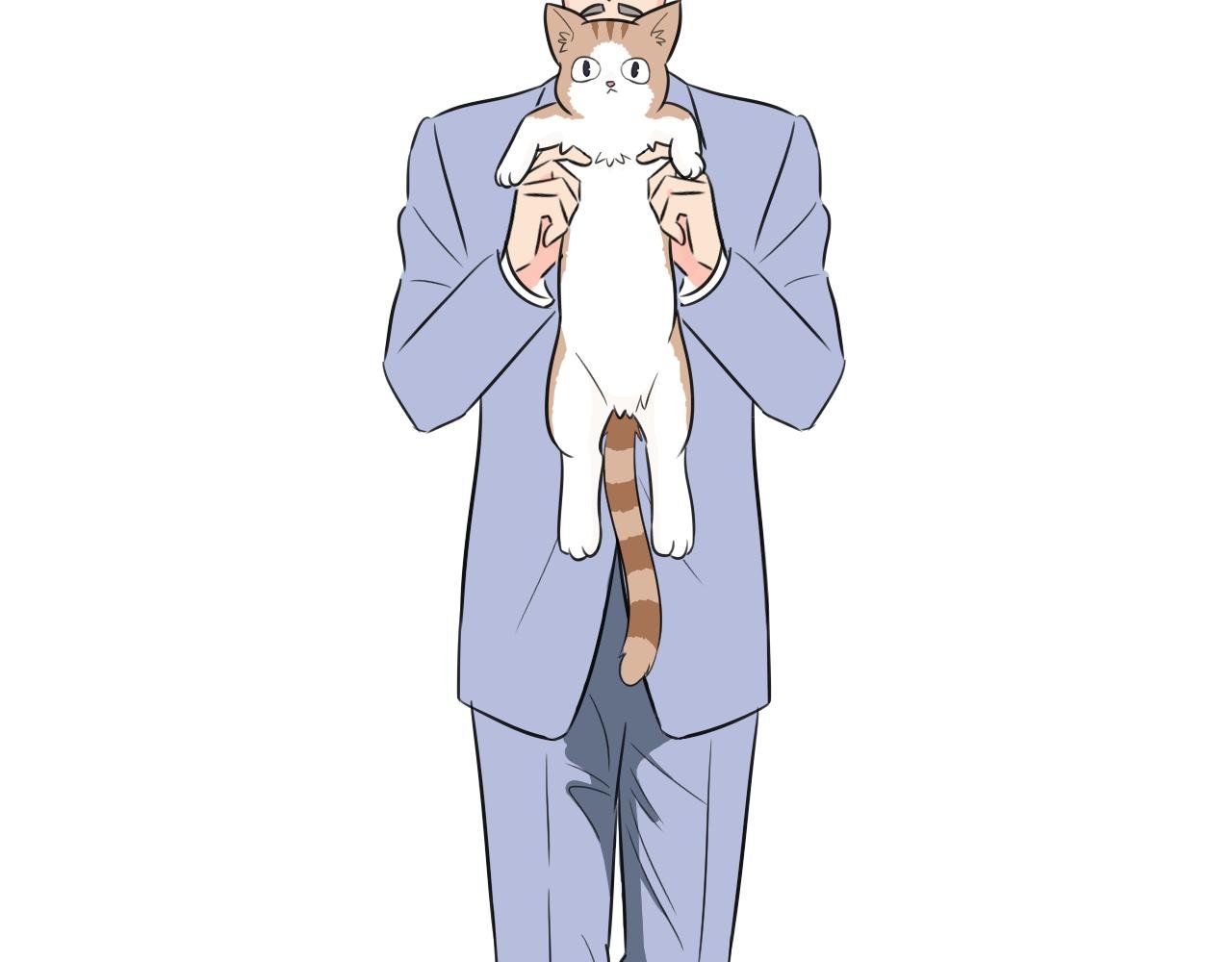 我的老板是猫控？