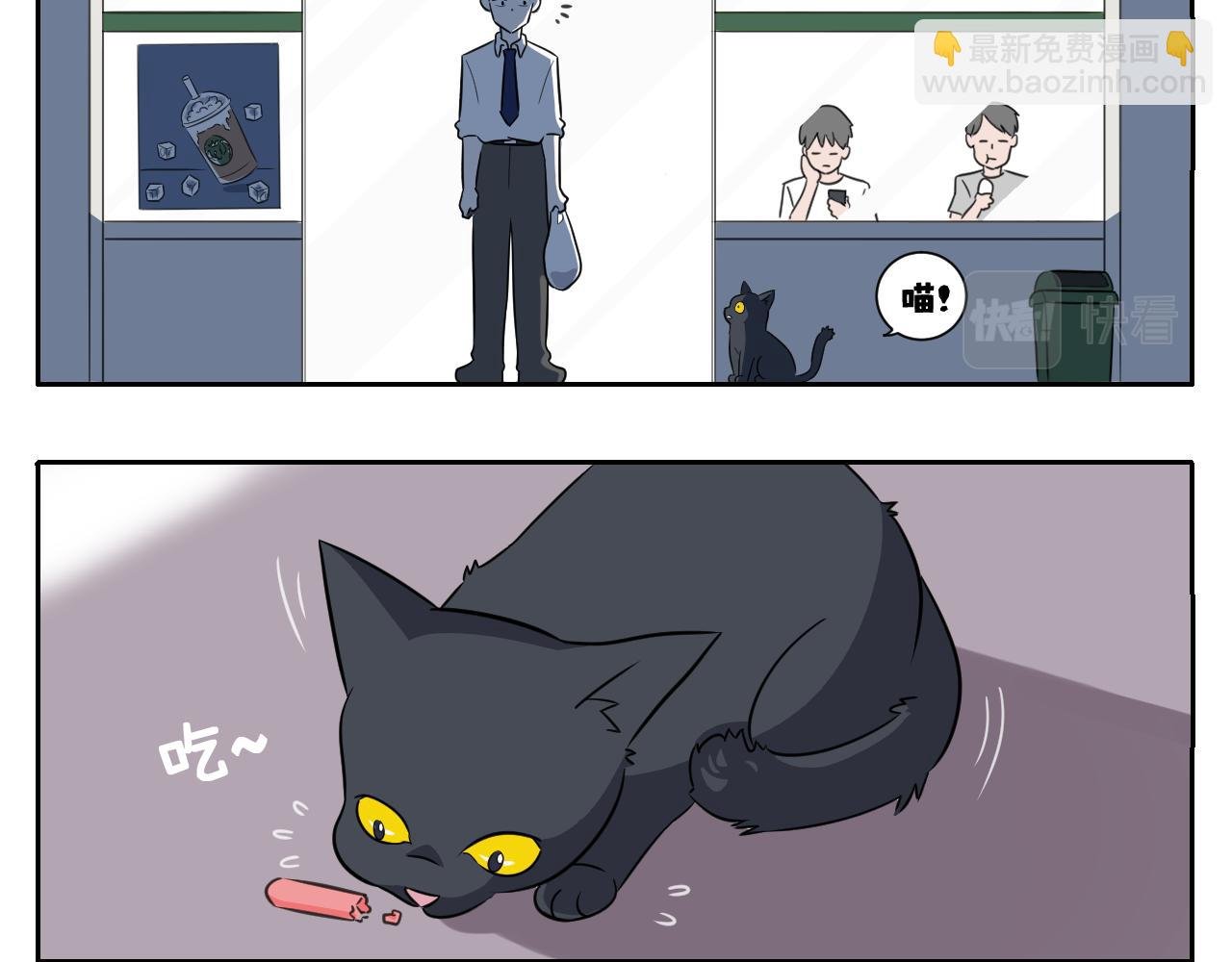 我变成猫了？