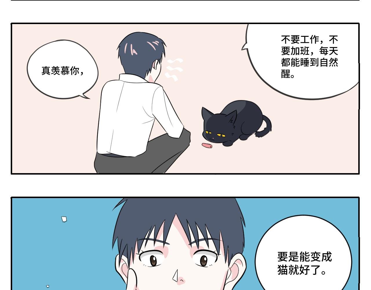 我变成猫了？