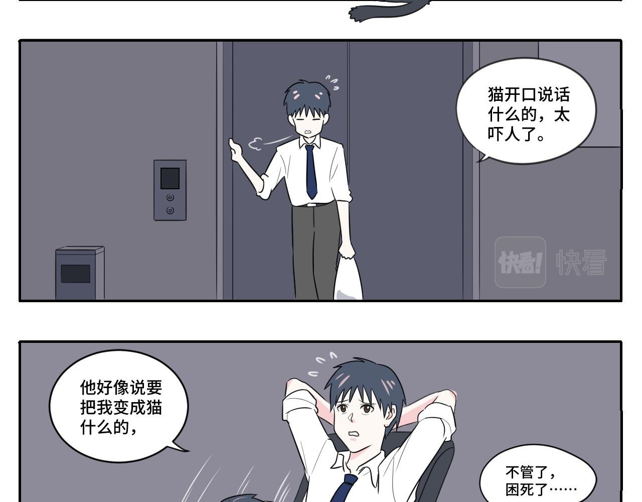 我变成猫了？