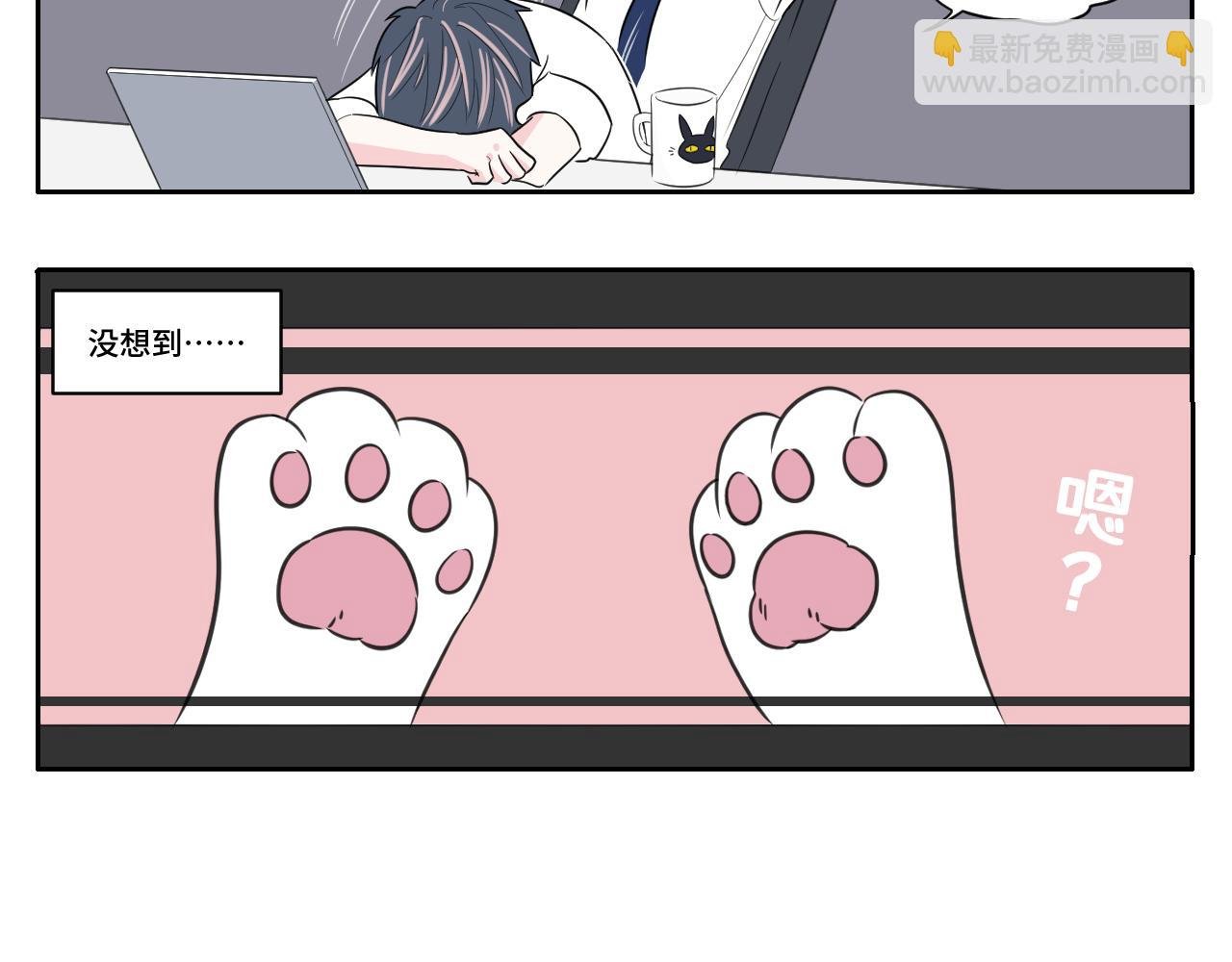 我变成猫了？