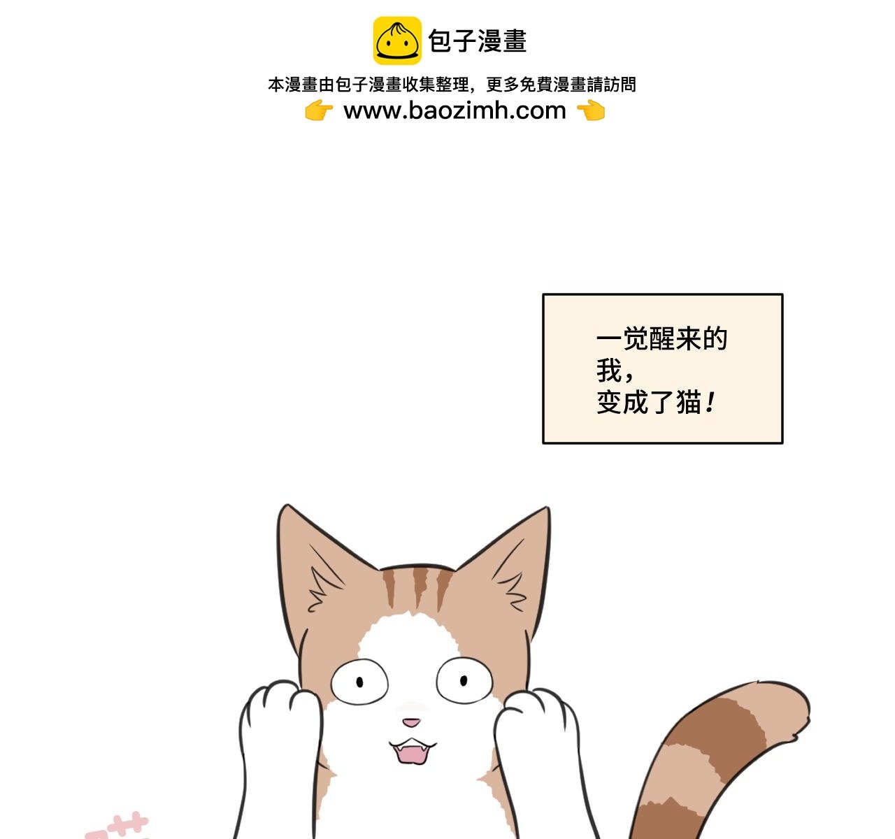 我变成猫了？