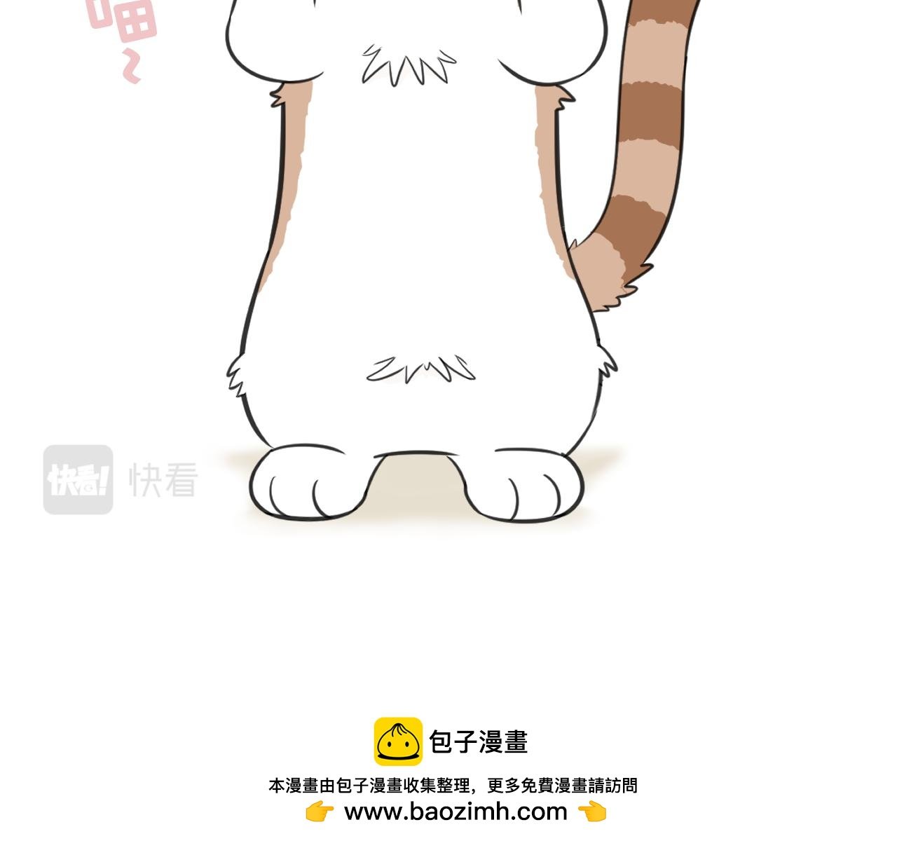 我变成猫了？