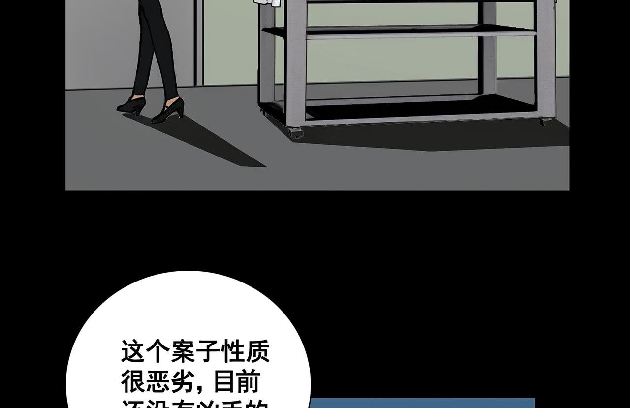 来历