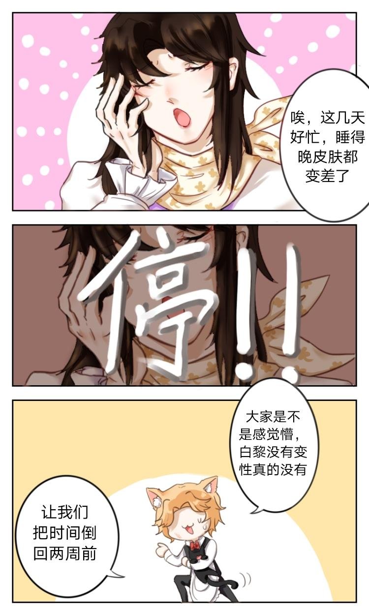队友就像巧克力