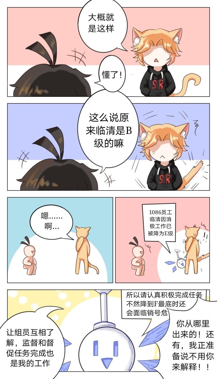 队友就像巧克力