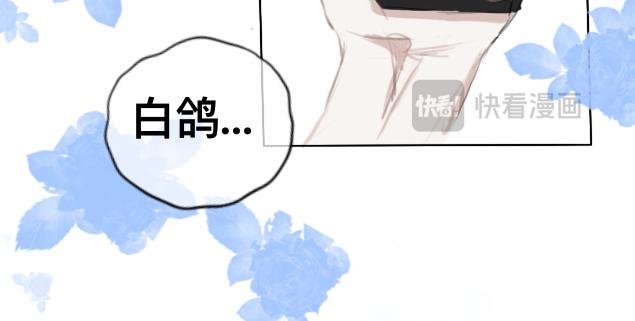 第2话 写真