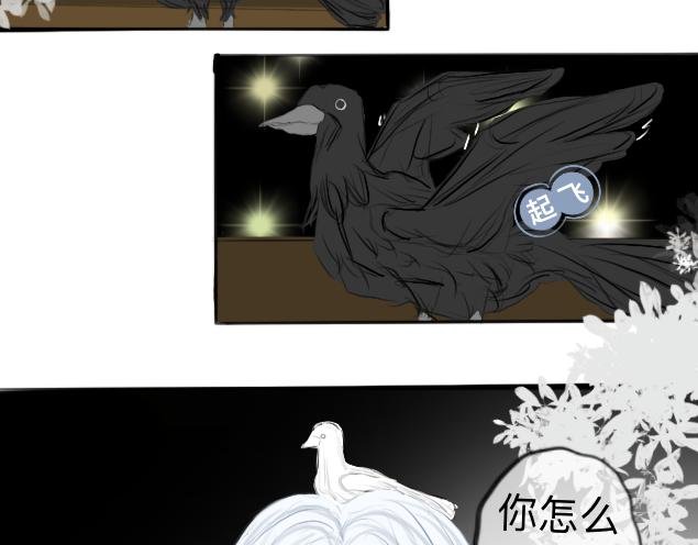 第1话 初遇