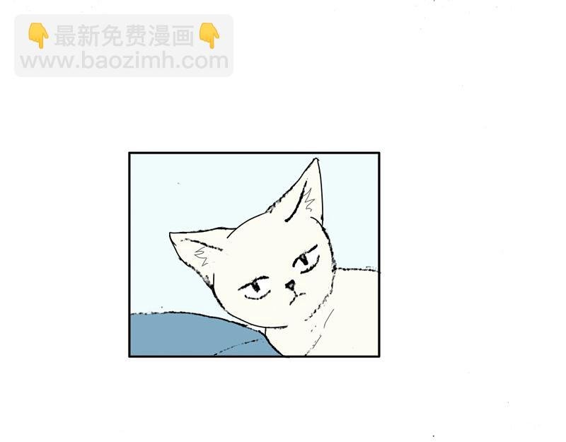 到嘴的猫跑了
