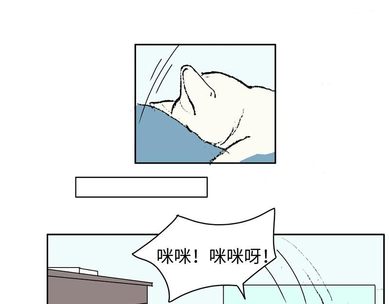 到嘴的猫跑了