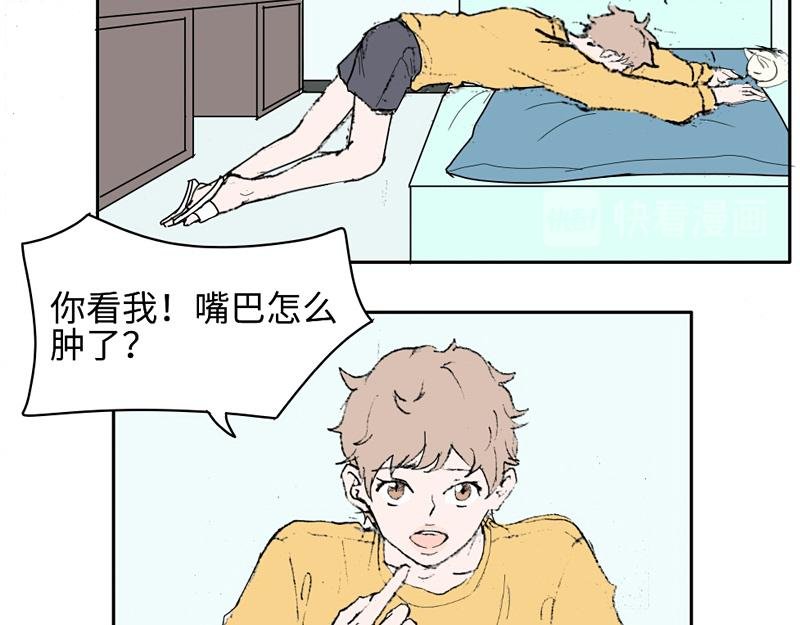 到嘴的猫跑了