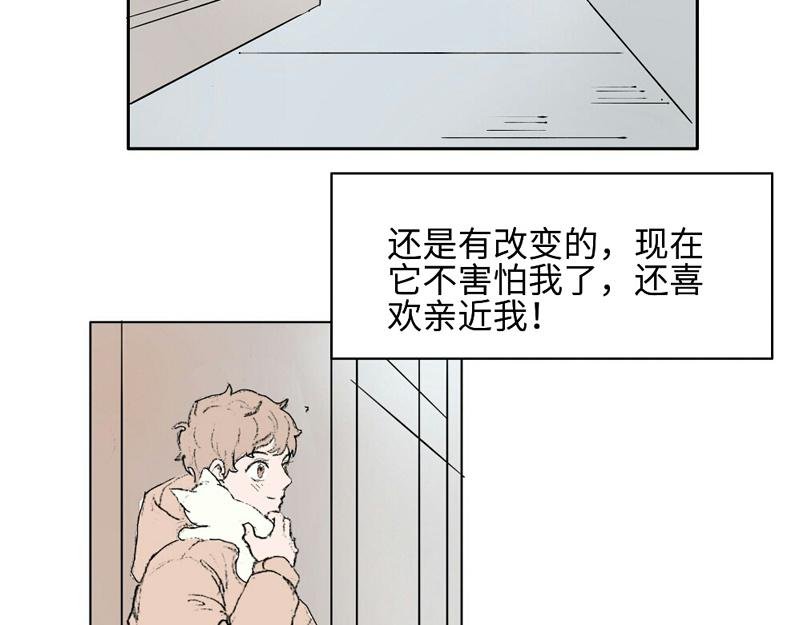 到嘴的猫跑了