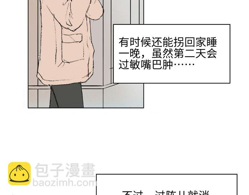 到嘴的猫跑了