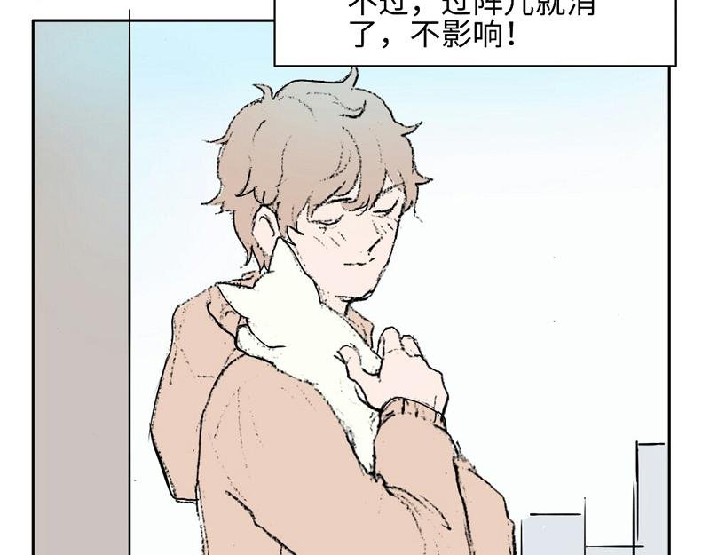到嘴的猫跑了