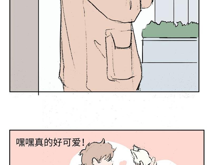 到嘴的猫跑了