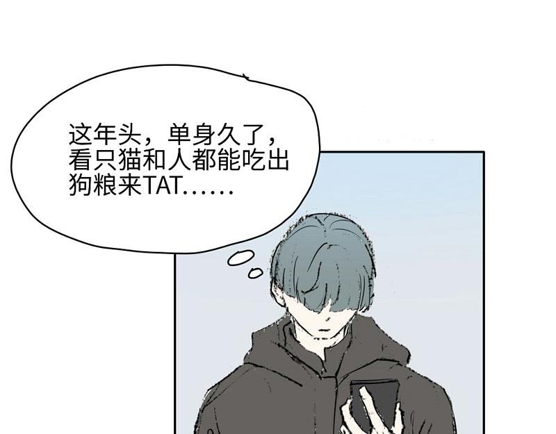 到嘴的猫跑了
