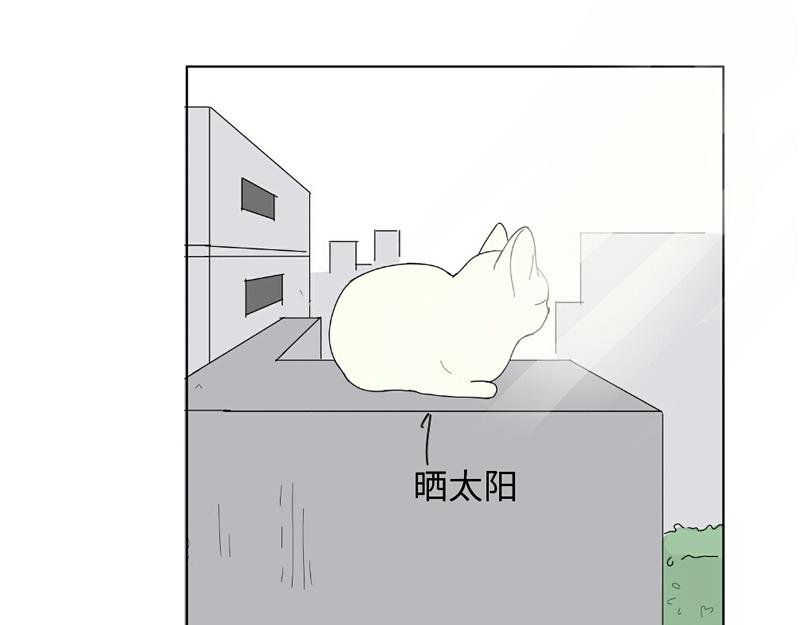 带回家