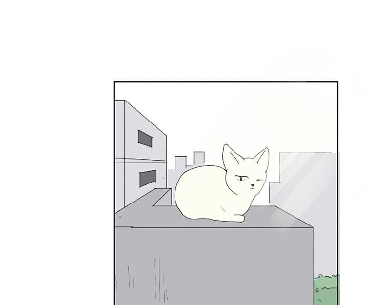 带回家