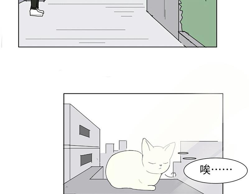 带回家