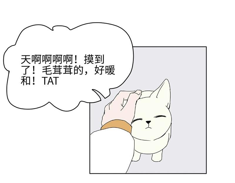 带回家