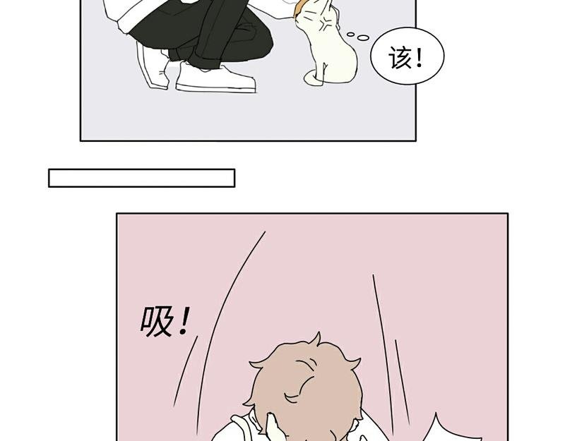 带回家