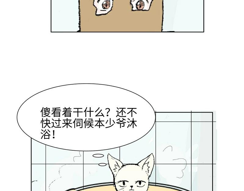 带回家