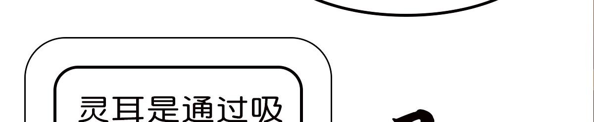 初始灵力