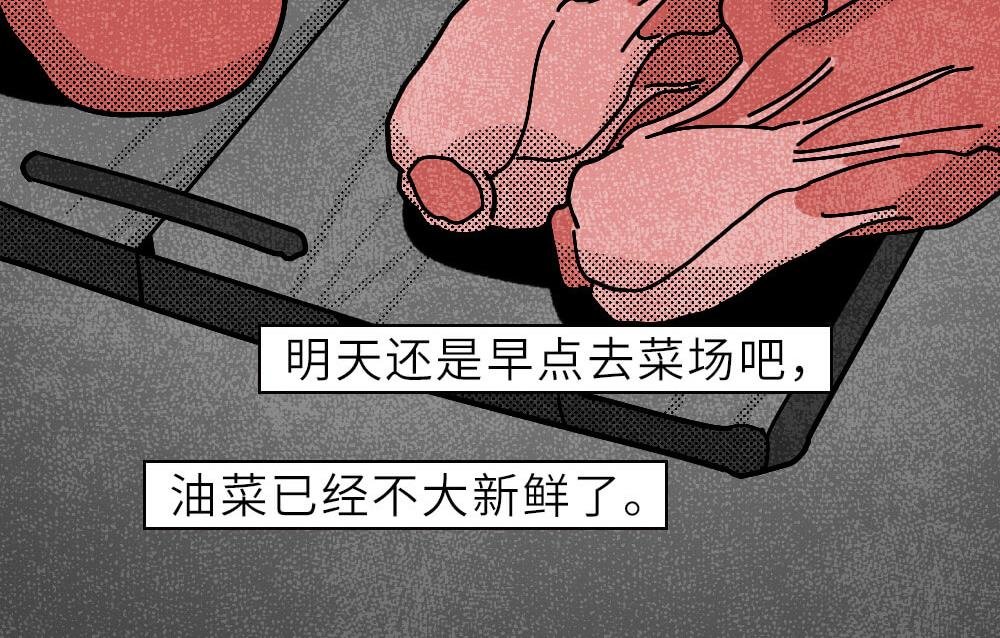 素贞的一天